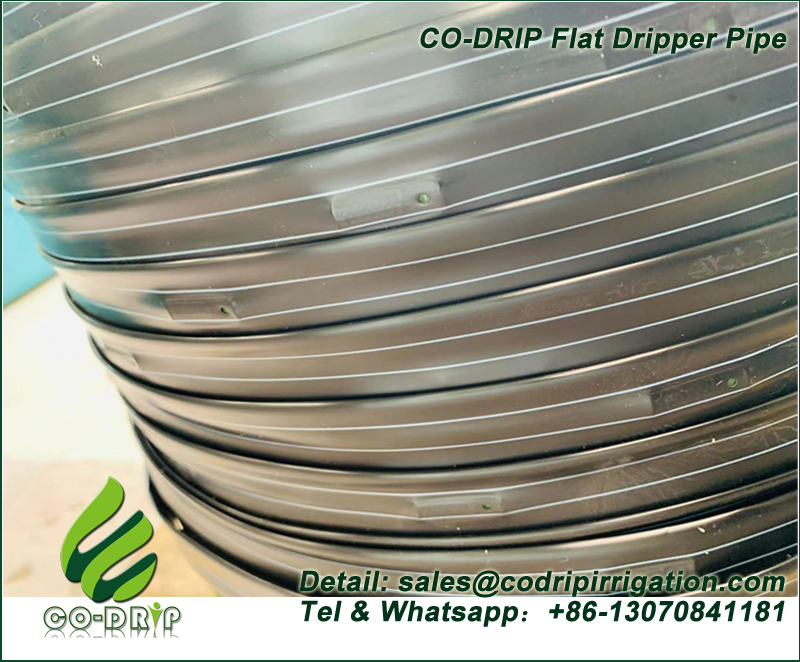 Flat Dripper Pipe Machinery Running success start QINGDAO CODRIP